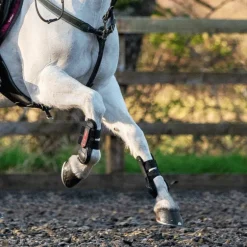 LeMieux - Guêtres Junior Pro noir x2