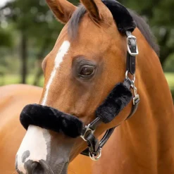 LeMieux - Kit fourreau de licol Simuwool noir