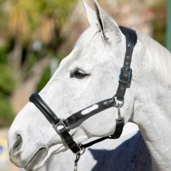 LeMieux - Licol Capella noir