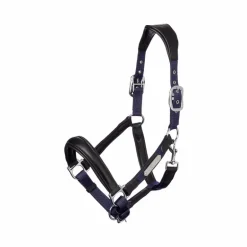 LeMieux - Licol pour chevaux Capella marine