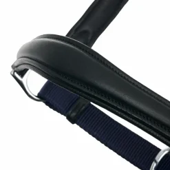 LeMieux - Licol pour chevaux Capella marine