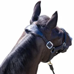 LeMieux - Licol pour chevaux Capella marine