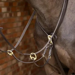 LeMieux - Martingale à anneaux Kudos marron/ laiton