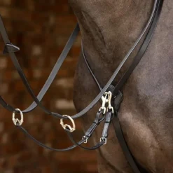 LeMieux - Martingale à anneaux Kudos noir/ argent