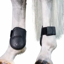 LeMieux - Protège-boulets Capella noir
