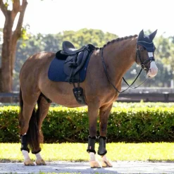 LeMieux - Tapis de dressage Finesse marine