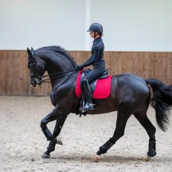 LeMieux - Tapis de dressage Square suédine chili