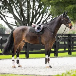 LeMieux - Tapis de selle mixte Pro Sorb Plain 2 Square noir