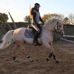 Les poneys de Zoé - Tapis de selle #Ponyboom gris perle/ violet