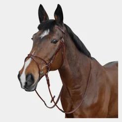 Lexington - Bridon Atlanta rond avec rênes