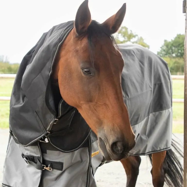 Loveson - Couverture d'extérieur Turnout Plus noir/ gris 0g