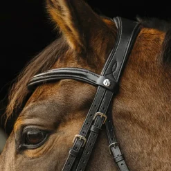 Norton - Bride Basal noir