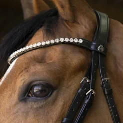 Norton - Bridon Bella noir