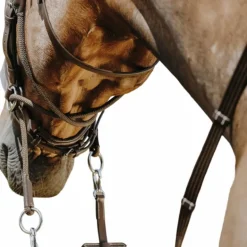 Norton - Bridon Bitless avec rênes havane