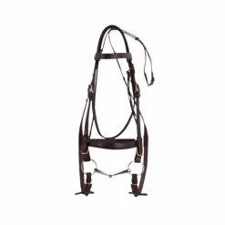 Norton - Bridon "CLUB" pour cheval de trait havane
