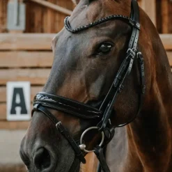 Norton - Bridon de dressage Royal noir