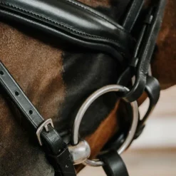 Norton - Bridon de dressage Diams noir