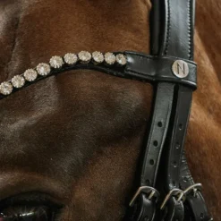 Norton - Bridon de dressage Diams noir
