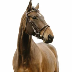 Norton - Bridon Deco havane