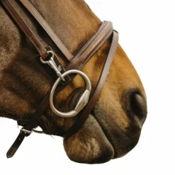 Norton - Bridon Easy havane