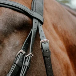 Norton - Bridon endurance Pop noir