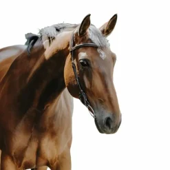 Norton - Bridon Freedom marron