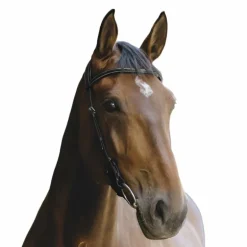 Norton - Bridon Freedom noir