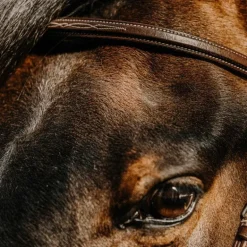 Norton - Bridon Hunter Comfy havane