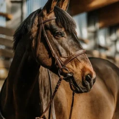 Norton - Bridon Hunter en cuir havane