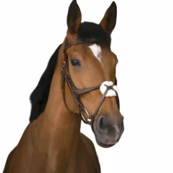 Norton - Bridon muserolle croisée havane