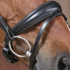 Norton - Bridon Pro Strass Noir