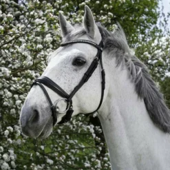 Norton - Bridon Pro Strass Noir