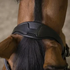 Norton - Bridon rock noir