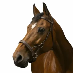 Norton - Bridon Side pull "PRO" confort havane