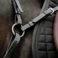 Norton - Collier de chasse endurance Pop noir