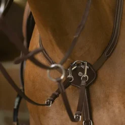 Norton - Collier de chasse pro Confort havane