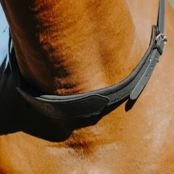 Norton - Cordelette/ Collier de monte à cru noir