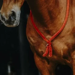 Norton - Cordelette/ Collier éthologique rouge