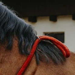 Norton - Cordelette/ Collier éthologique rouge