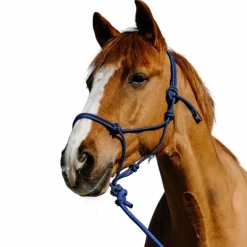 Norton - Ensemble licol éthlogique et longe Duo bleu/ noir