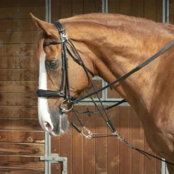 Norton - Gogue à poulies