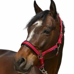 Norton - Licol 4 Lines rouge