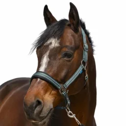 Norton - Licol 4 Lines vert foncé