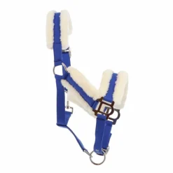 Norton - Licol Confort bleu vif