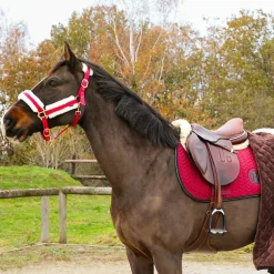 Norton - Licol Confort bordeaux/bouclerie or rose