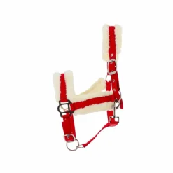 Norton - Licol Confort framboise