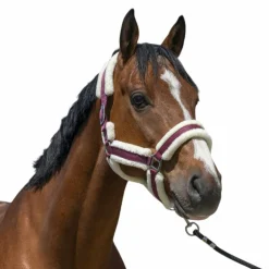 Norton - Licol Cosy bordeaux