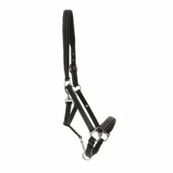 Norton - Licol cuir grooming noir