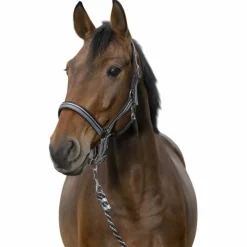 Norton - Licol et longe brillant noir/ gris/ argenté