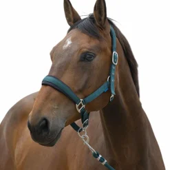 Norton - Licol et longe Large vert foncé